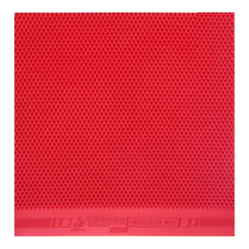 TIBHAR Grass D.TecS Table Tenn - Table Tennis Rubber Review review and price