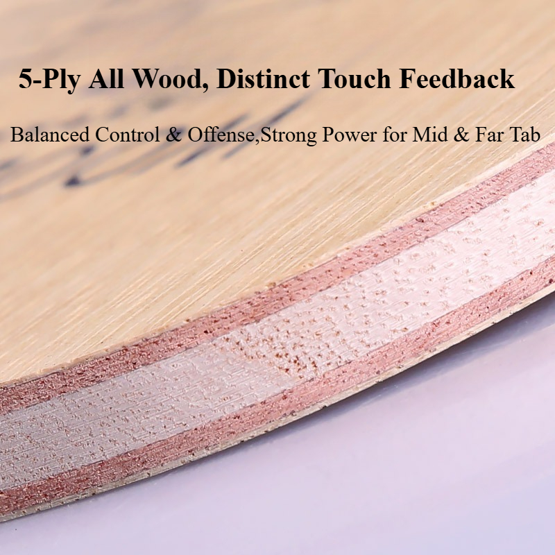 YINHE 985 Japanese Penhold Tab - Table Tennis Table review and price