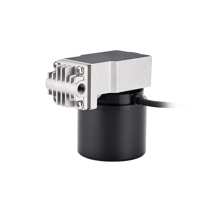 Swinging piston pump 24V boost - Rubber Booster Speed review and price